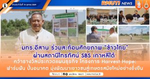 มทร.อีสาน ร่วมสะท้อนศักยภาพ “ข้าวไทย” ผ่านสถานีโทรทัศน์ SBS เกาหลีใต้ ชูการพัฒนาพื้นที่ทุ่งกุลาร้องไห้ จากดินแดนแห้งแล้งสู่แหล่งส่งออกข้าวหอมมะลิคุณภาพเยี่ยมระดับโลก
