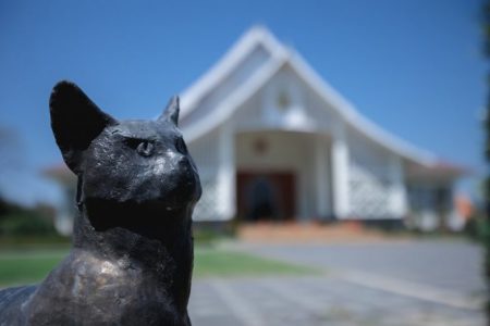 LINE_ALBUM_2022.4.8_84_XNUMX